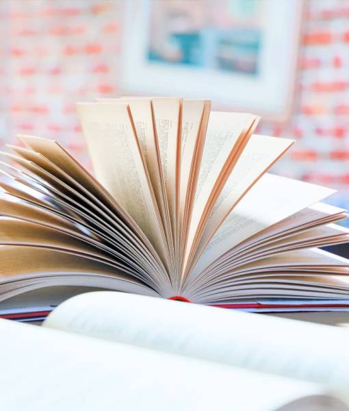 Guide Specialistiche Scaricabili